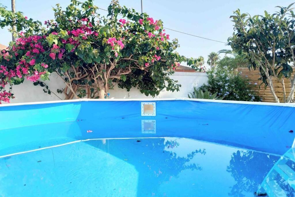 Apartamento Privado Con Jardin, Piscina Elevada Y Bbq Chiclana de la Frontera Luaran gambar